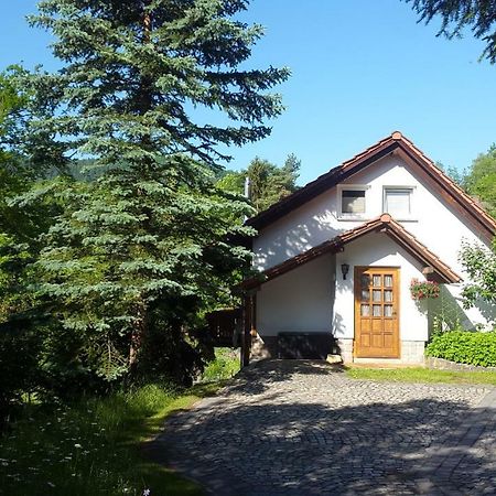 Ferienhaus "Am Schleifenbach" Saalfeld Saale المظهر الخارجي الصورة