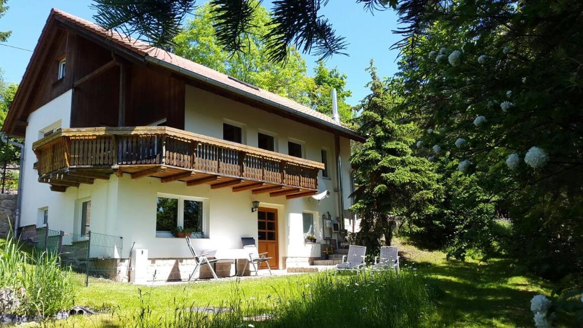 Ferienhaus "Am Schleifenbach" Saalfeld Saale المظهر الخارجي الصورة