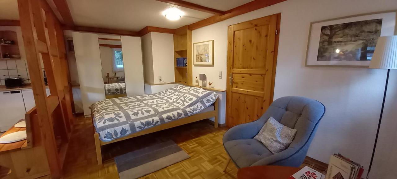 Ferienhaus "Am Schleifenbach" Saalfeld Saale المظهر الخارجي الصورة
