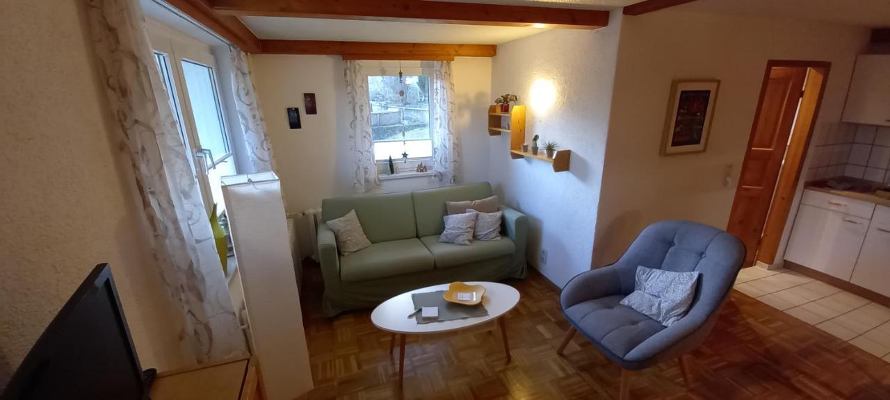 Ferienhaus "Am Schleifenbach" Saalfeld Saale المظهر الخارجي الصورة