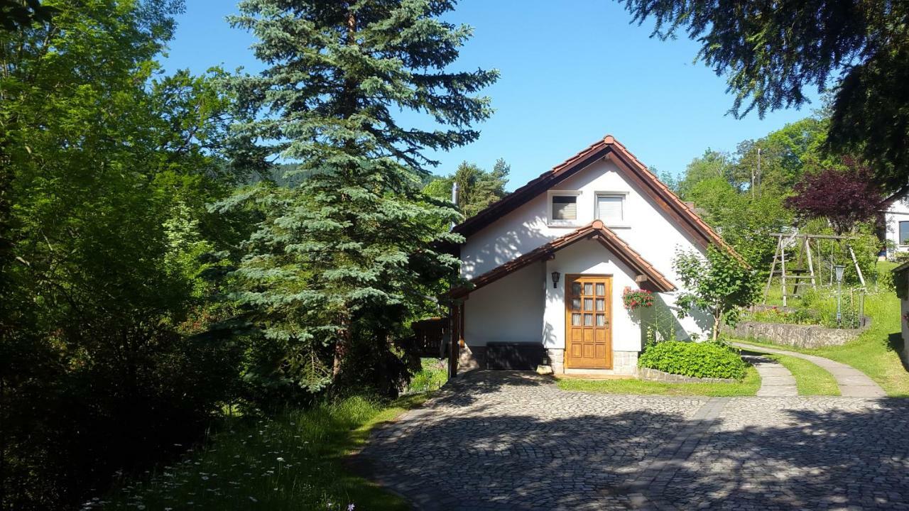 Ferienhaus "Am Schleifenbach" Saalfeld Saale المظهر الخارجي الصورة